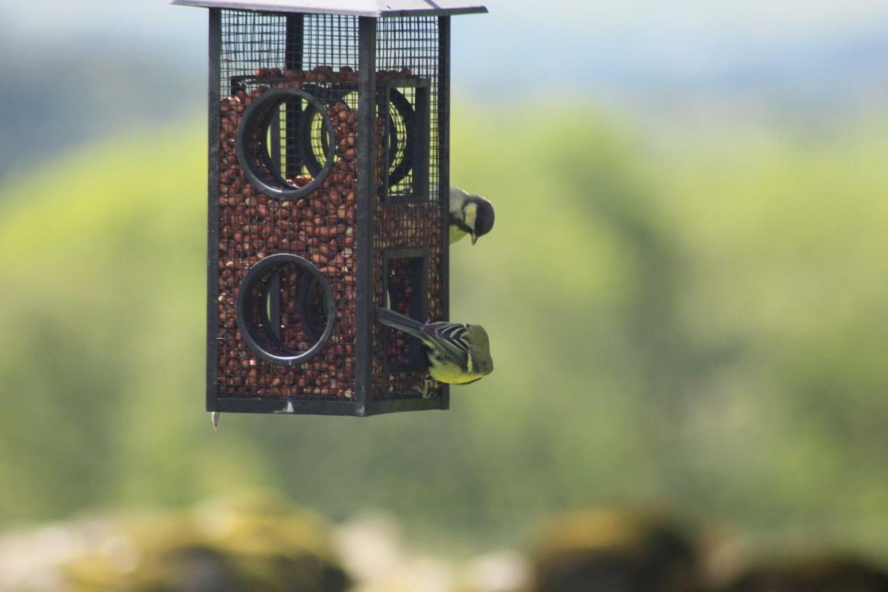 Lane Head Farm Country Guest House Troutbeck  Esterno foto